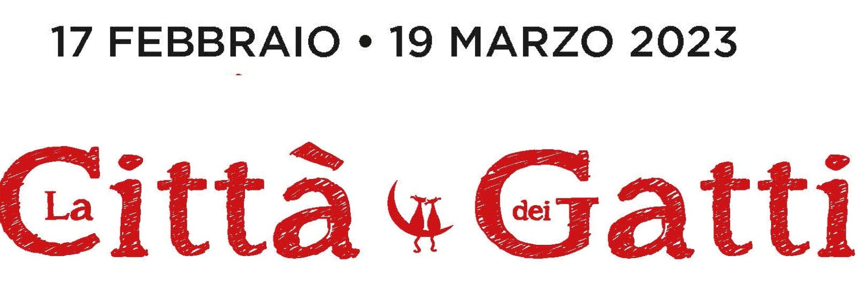 328607955 1210356326586103 4645419152489097040 n 2 Copia Copia Copia